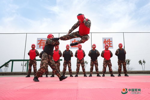 熱血鑄就忠誠 武警某支隊訓練高清大圖紀實
